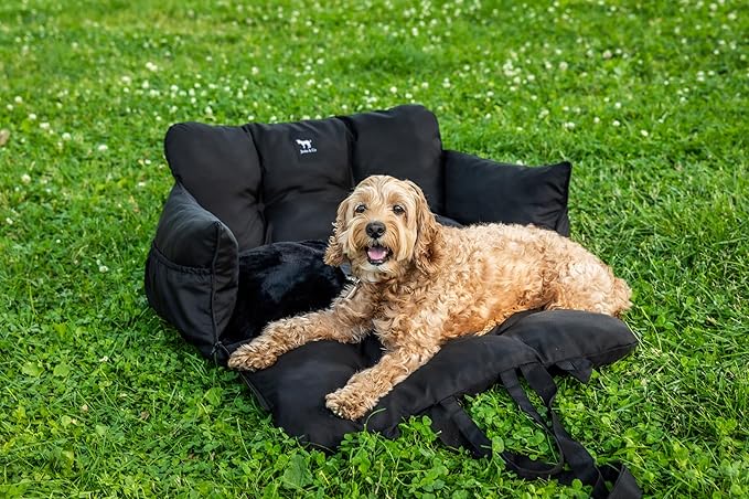 Pet Travel Gear